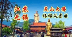 鸡巴插在逼黄污视频网站江苏无锡灵山大佛旅游风景区