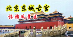 狂操插小美女视频91视频中国北京-东城古宫旅游风景区